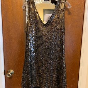 Express Sequin Dress